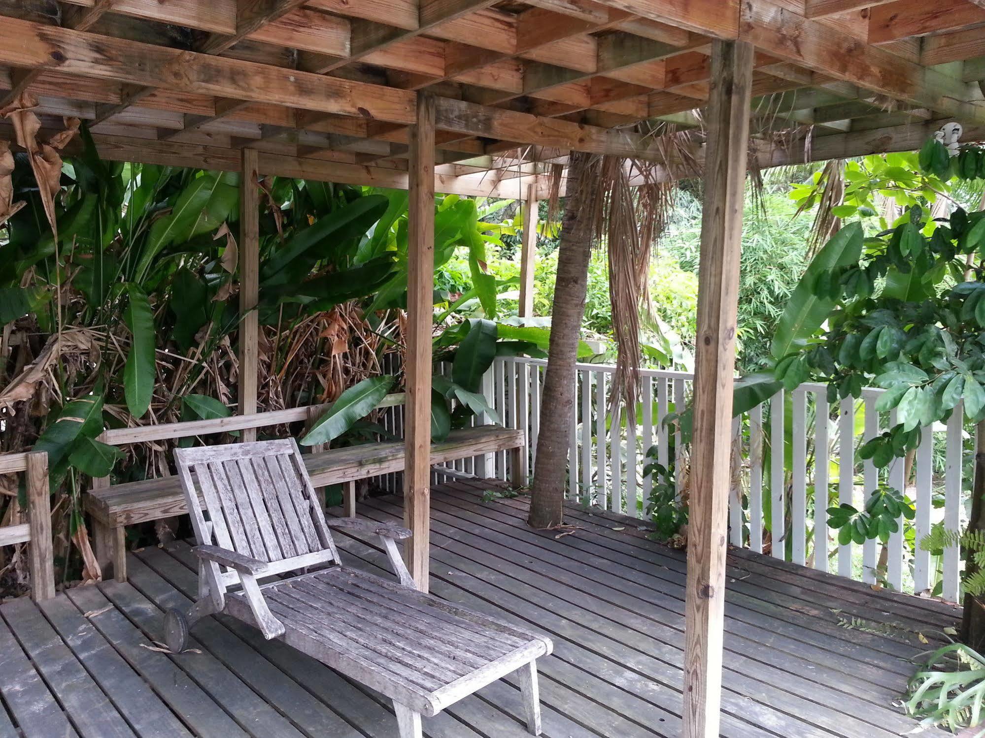 The Artiste'S Boutique By Bohemian Lodges Kingston Exterior foto